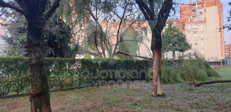 VENARIA-BORGARO-CASELLE-MAPPANO - Maltempo: tetti scoperchiati e alberi abbattuti