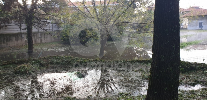 VENARIA-BORGARO-CASELLE-MAPPANO - Maltempo: tetti scoperchiati e alberi abbattuti