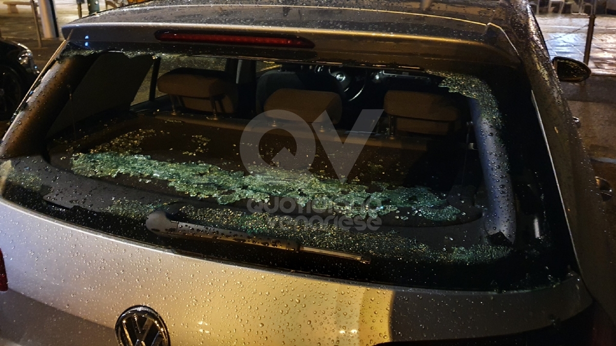 GRANDINATA A VENARIA - Danneggiata la De Amicis, caduti decine di alberi, auto rovinate. Giulivi: «Chiederemo la calamità naturale» - FOTO