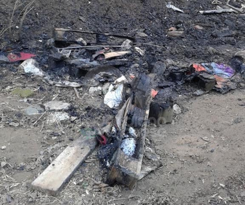 RIVOLI-GRUGLIASCO - Idioti in azione: bruciato il «villaggio felino» e alcuni alberi