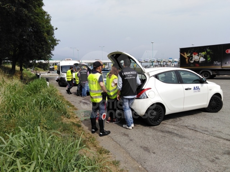 RIVOLI - Alimenti trasportati in tir troppo caldi: sequestrata una tonnellata di merce