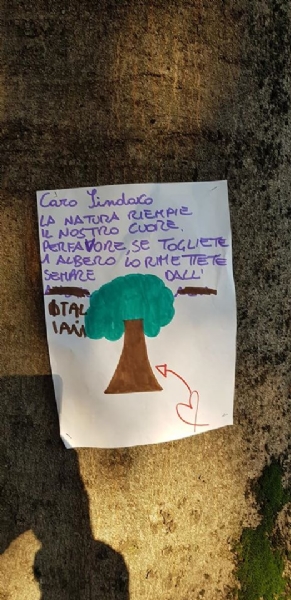 VENARIA - Cartelli e disegni per dire «no» all'abbattimento degli alberi in via Amati