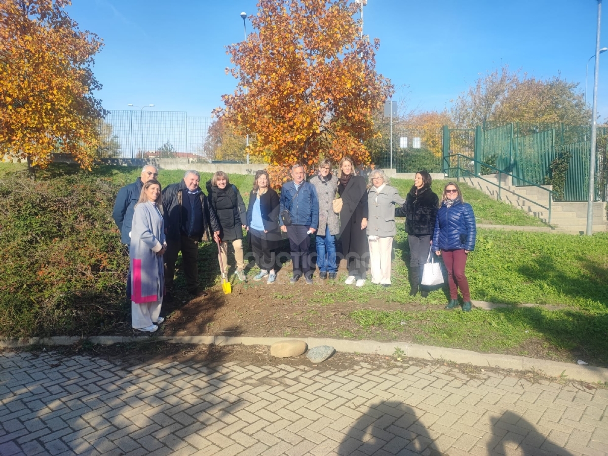 PIANEZZA - Alla primaria «Manzoni» successo per l'iniziativa «Un albero per il futuro» - FOTO