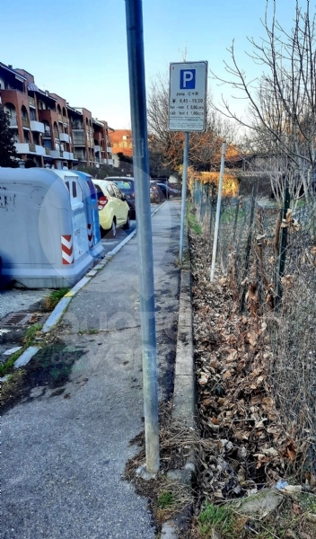 VENARIA - Degrado delle aree private: prime pulizie e nuove lettere d'intimazione - FOTO