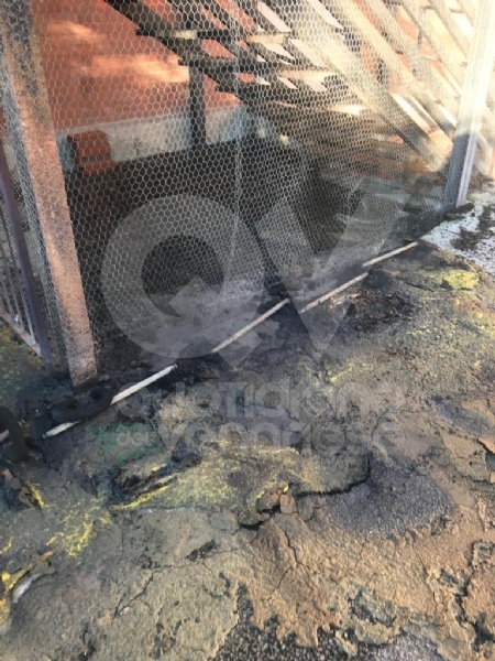 MAPPANO - A fuoco sei cassonetti dei rifiuti nel cortile della scuola