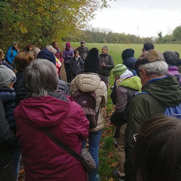 RIVOLI - Oltre 70 persone alla scoperta della collina morenica grazie a «Rivoli Città Attiva»