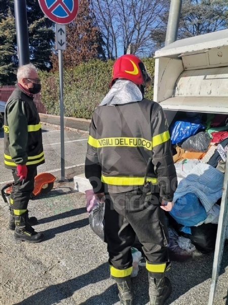 ALPIGNANO - Gattino rimane incastrato nel raccoglitore dei vestiti usati: salvato dai pompieri