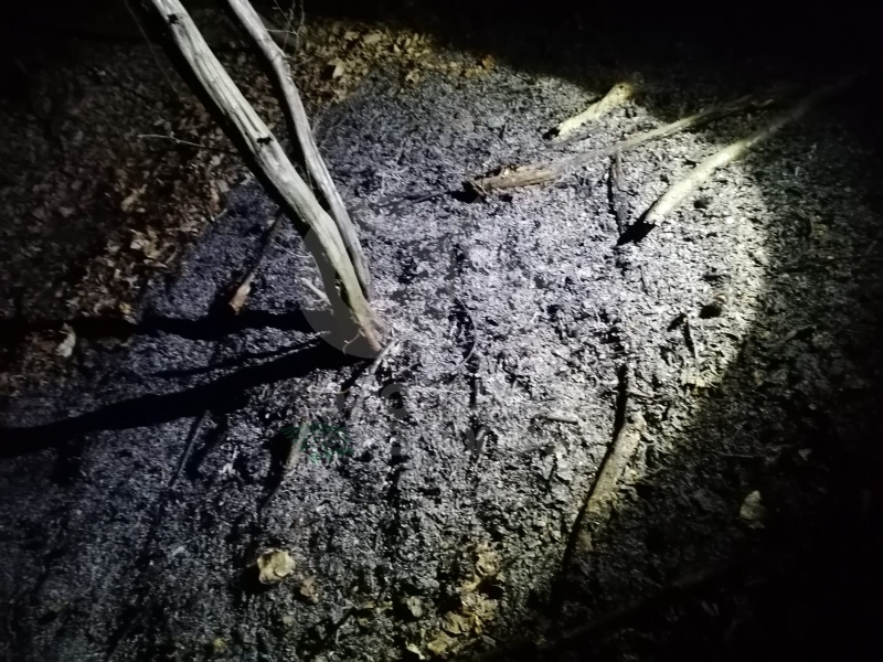 DRUENTO - Incendio boschivo in strada Rive: roghi spenti da pompieri, Aib e Protezione Civile
