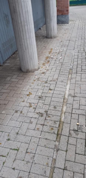 CASELLE-MAPPANO - Vandali in azione la notte di Halloween: torna il raid delle uova