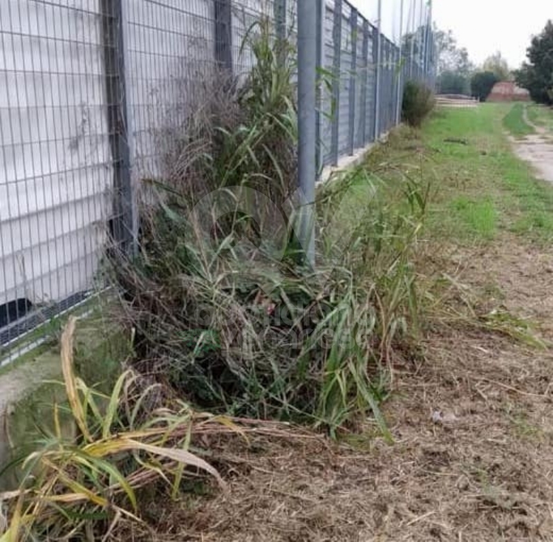 VENARIA - Tombini rotti al Don Mosso: ecco transenne e nastri dopo la denuncia del Venaria Calcio