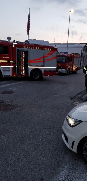 RIVOLI - Incastrato nel radiatore di una macchina: gatto salvato dai vigili del fuoco