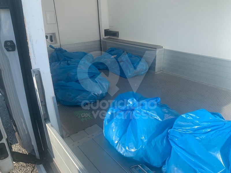 RIVOLI - 200 chili di carne, in sacchetti per l'immondizia, dentro al furgone: mille euro di multa