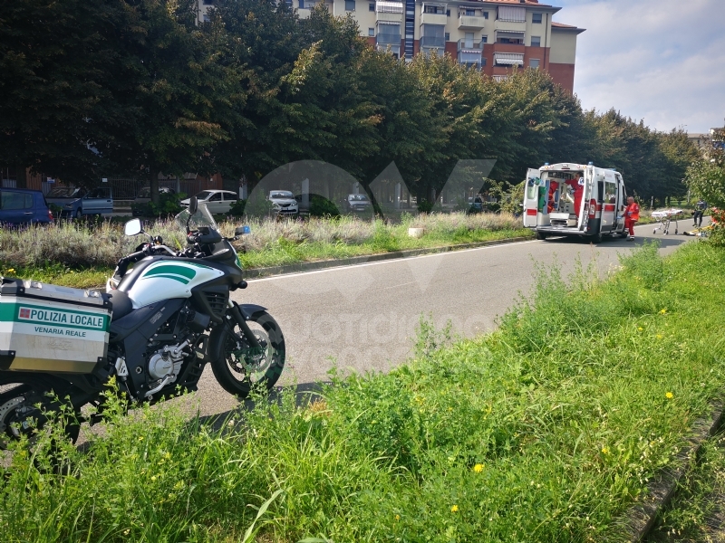 VENARIA - Entra un'ape nel casco e perde il controllo dello scooter: uomo finisce in ospedale