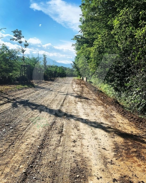 PARCO MANDRIA - Riaperto il Viale dei Roveri: era chiuso da oltre un mese, causa nubifragio