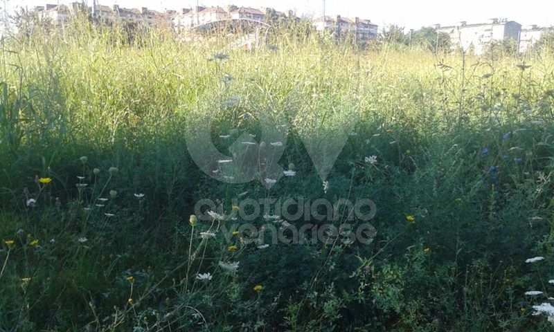 VENARIA - La segnalazione: «Ecco il degrado di Corona Verde»