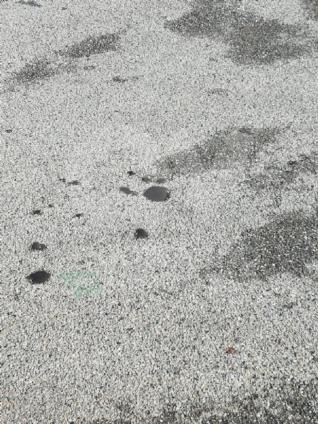 GRUGLIASCO - I motociclisti puntano il dito contro il rialzo non segnalato: «è pericoloso»