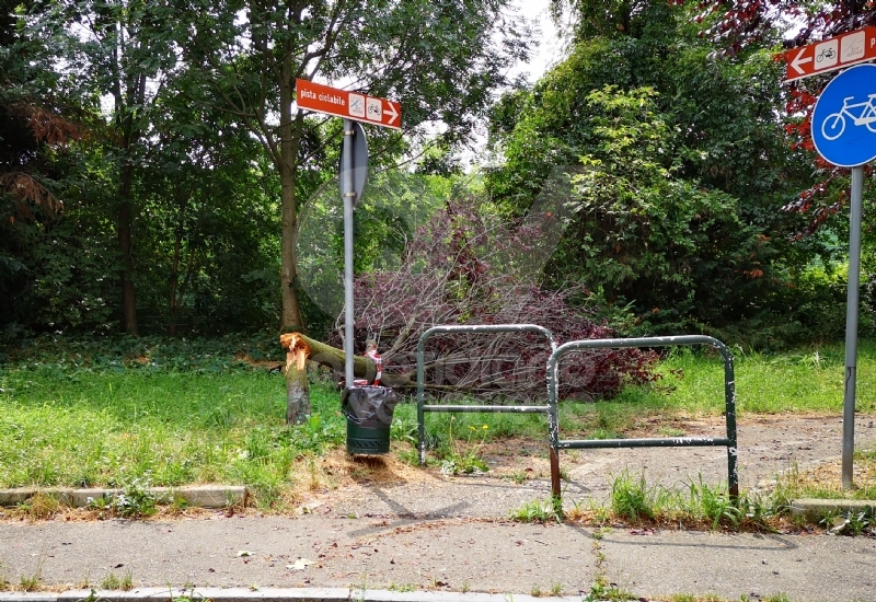 VENARIA-BORGARO-CASELLE-MAPPANO - Maltempo: tetti scoperchiati e alberi abbattuti