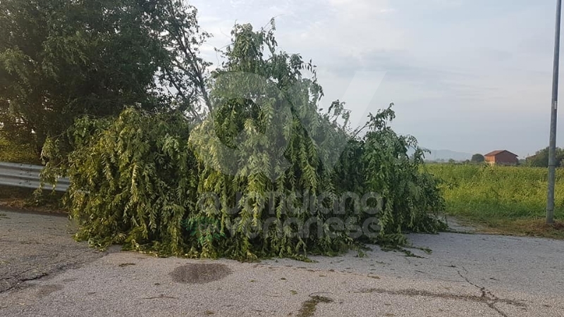 VENARIA-BORGARO-CASELLE-MAPPANO - Maltempo: tetti scoperchiati e alberi abbattuti