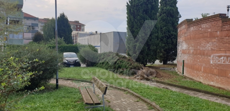 VENARIA-BORGARO-CASELLE-MAPPANO - Maltempo: tetti scoperchiati e alberi abbattuti