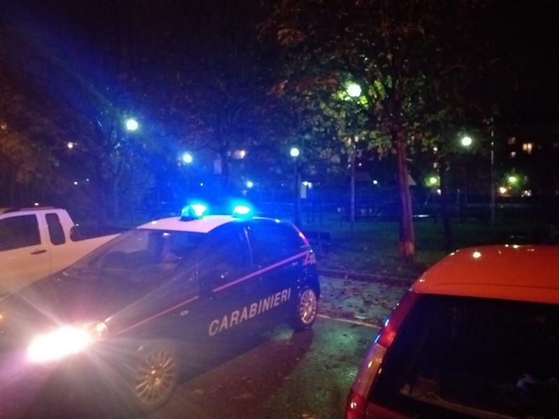 PIANEZZA - Blitz dei carabinieri al «giardino del fumo»: sei segnalati alla prefettura di Torino