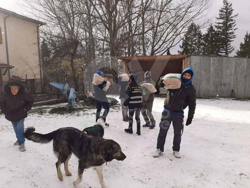 SAVONERA-VENARIA-COLLEGNO - L'Associazione Savonera ancora in aiuto delle zone terremotate
