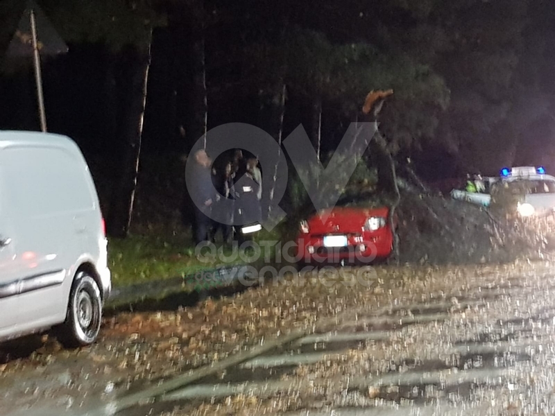 MALTEMPO - Albero e una insegna crollati sulle auto, strade allagate