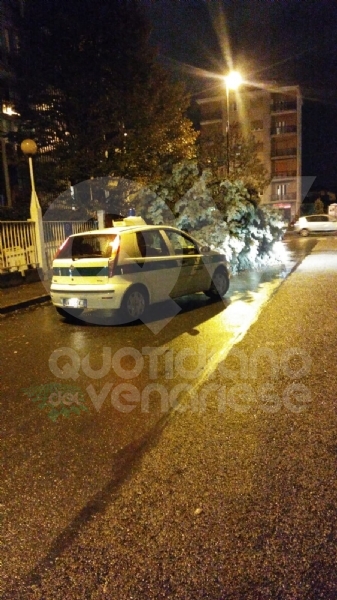 MALTEMPO - Albero e una insegna crollati sulle auto, strade allagate