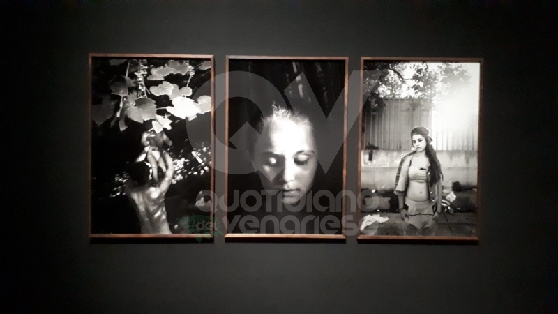 VENARIA - Le guerre immortalate negli scatti di Pellegrin nella mostra «Un'Antologia» alla Reggia - FOTO