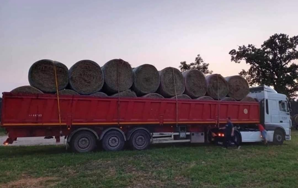 VENARIA - Gli agricoltori di Venaria e Rocca Canavese solidali con la Sardegna: in arrivo camion pieni di fieno - FOTO
