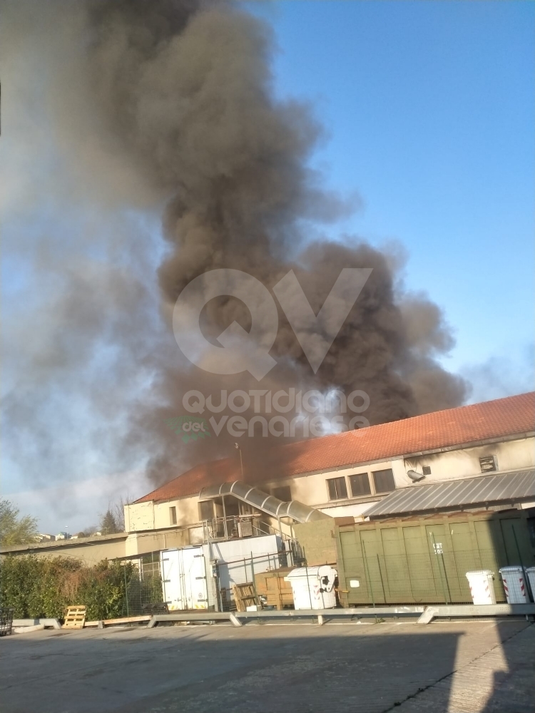 INCENDIO A RIVOLI - In fiamme il magazzino di un'azienda: vigili del fuoco in azione - FOTO