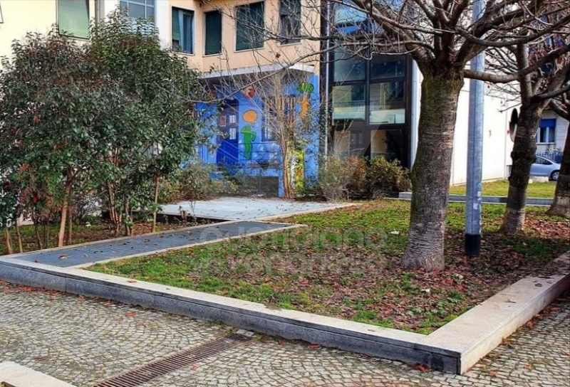 VENARIA - Il nuovo volto di piazza Pettiti: alberi e arbusti potati, fontana in funzione in primavera