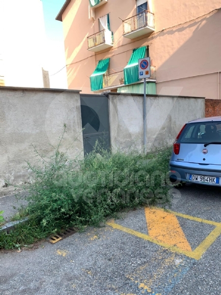 VENARIA - LA SEGNALAZIONE: L'erba alta nasconde il parcheggio per portatori di disabilità
