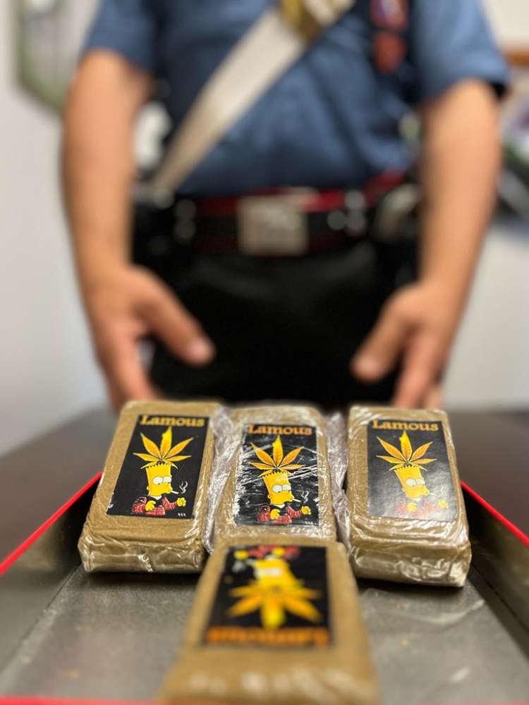 RIVOLI - Operazione antidroga: arrestati 34 italiani per spaccio e detenzione - FOTO E VIDEO