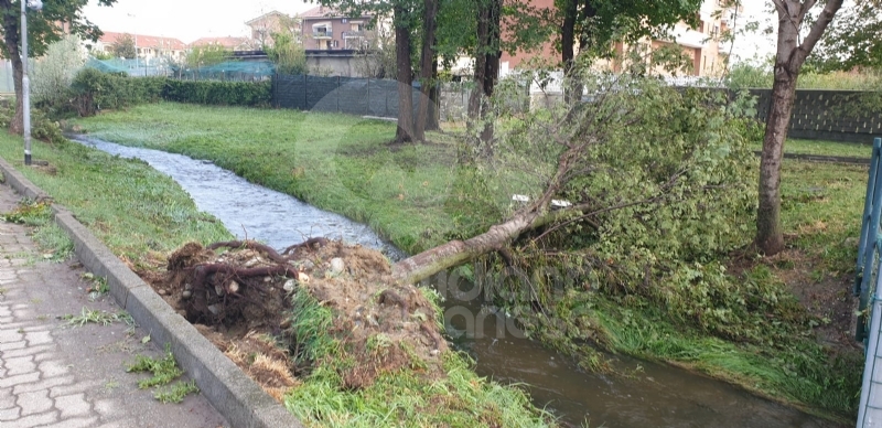 VENARIA-BORGARO-CASELLE-MAPPANO - Maltempo: tetti scoperchiati e alberi abbattuti