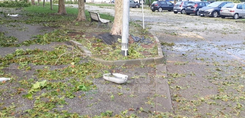 VENARIA-BORGARO-CASELLE-MAPPANO - Maltempo: tetti scoperchiati e alberi abbattuti