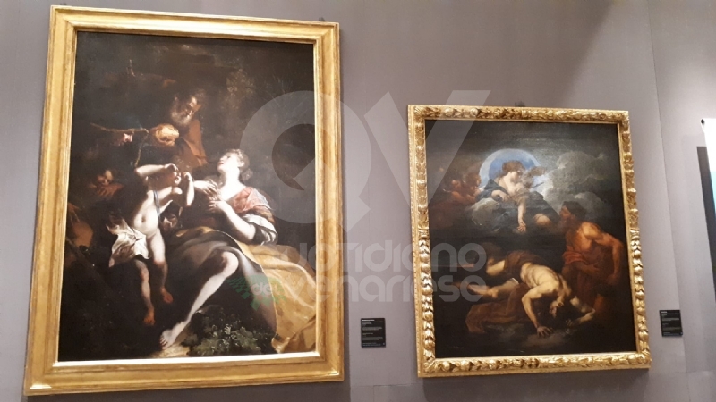 VENARIA - Anche la Reggia torna alla normalità: riapre i battenti con «Sfida al Barocco» FOTO