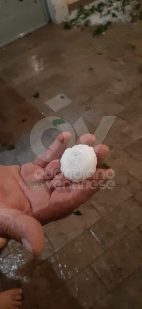 GRANDINATA A VENARIA - Danneggiata la De Amicis, caduti decine di alberi, auto rovinate. Giulivi: «Chiederemo la calamità naturale» - FOTO