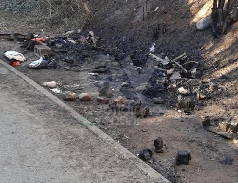 RIVOLI-GRUGLIASCO - Idioti in azione: bruciato il «villaggio felino» e alcuni alberi