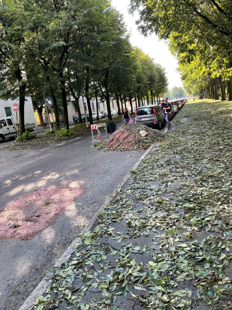 GRANDINATA A VENARIA - Danneggiata la De Amicis, caduti decine di alberi, auto rovinate. Giulivi: «Chiederemo la calamità naturale» - FOTO