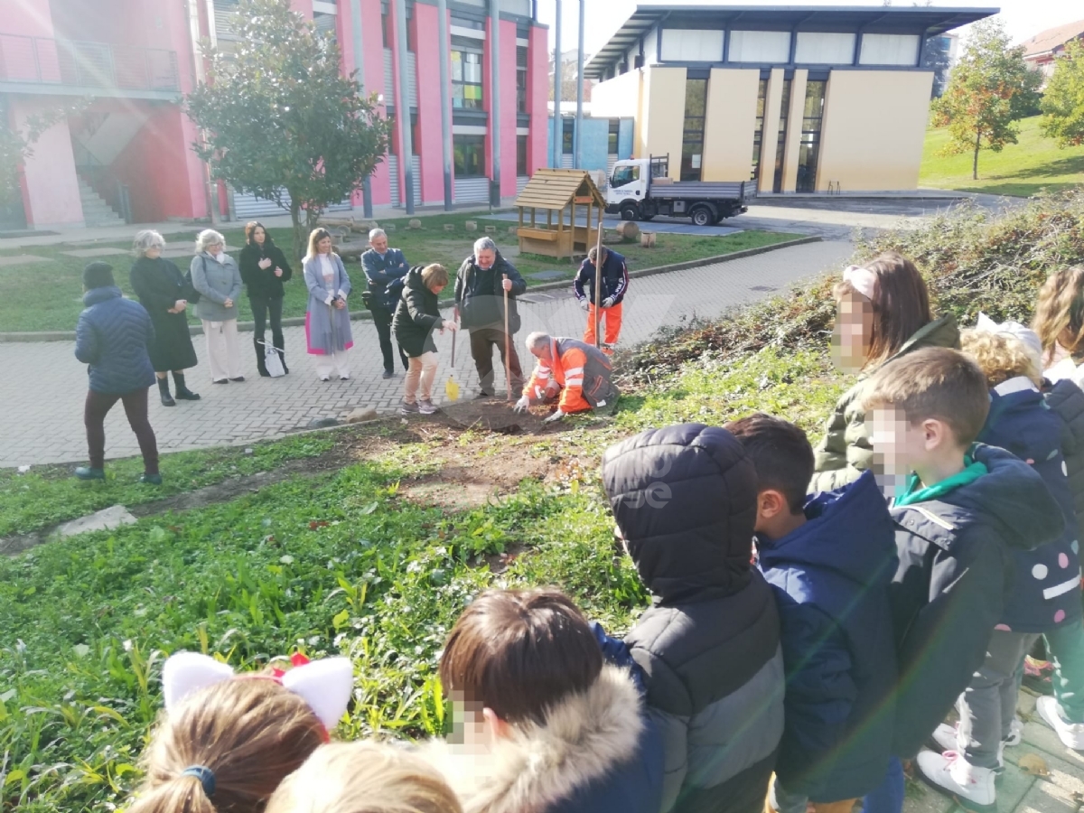 PIANEZZA - Alla primaria «Manzoni» successo per l'iniziativa «Un albero per il futuro» - FOTO