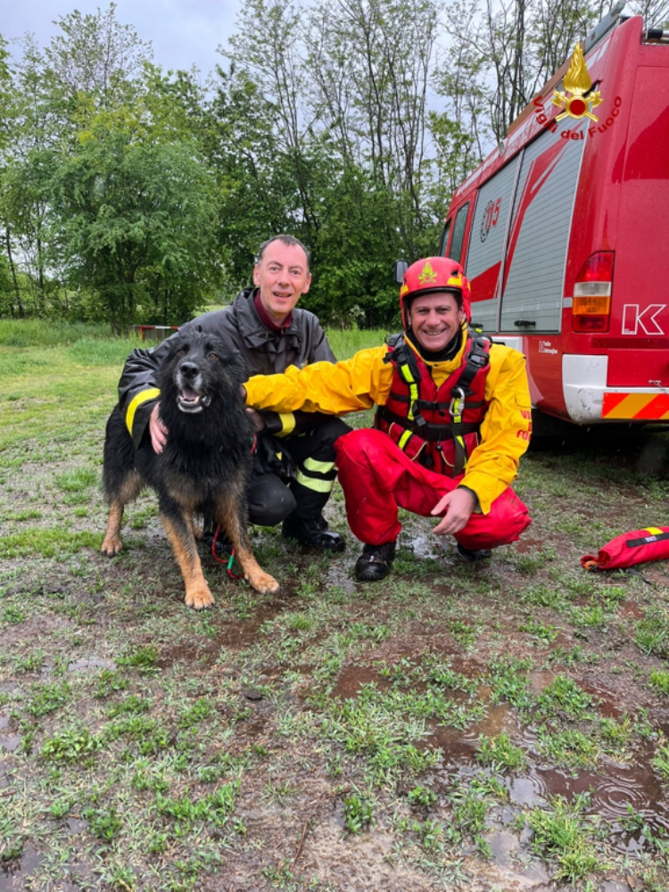 CASELLE - Il cane scappa al padrone e finisce nello Stura: salvato dai vigili del fuoco - FOTO