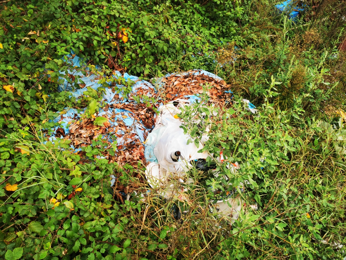BORGARO - Successo per «Puliamo insieme il parco Chico Mendes»: tanti sacchi neri colmi di rifiuti - FOTO