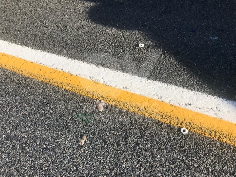 COLLEGNO - Perde il controllo del furgone che trasporta pesce e si ribalta: caos in tangenziale