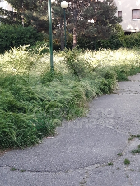 VENARIA - Erba alta, scarsa illuminazione e una materna con problemi...