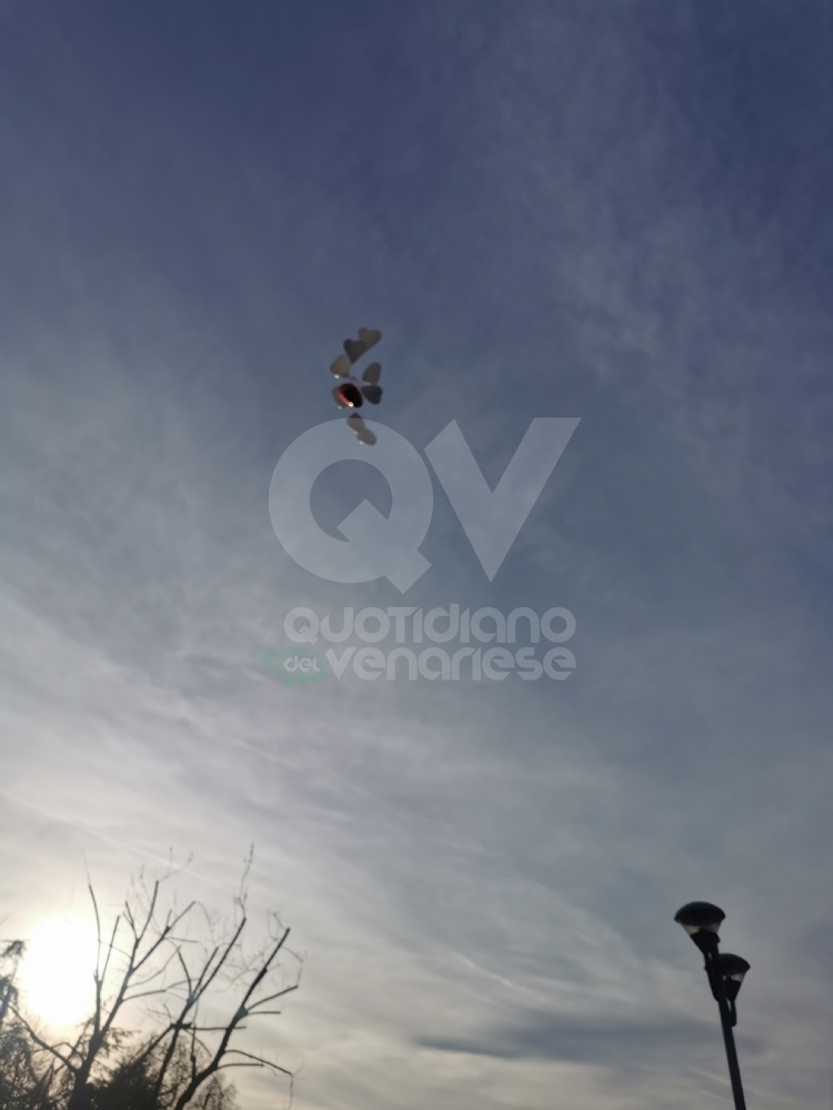 VENARIA - Due anni senza Massimo Ricciardello: in piazza Ravera una targa e una magnolia - FOTO