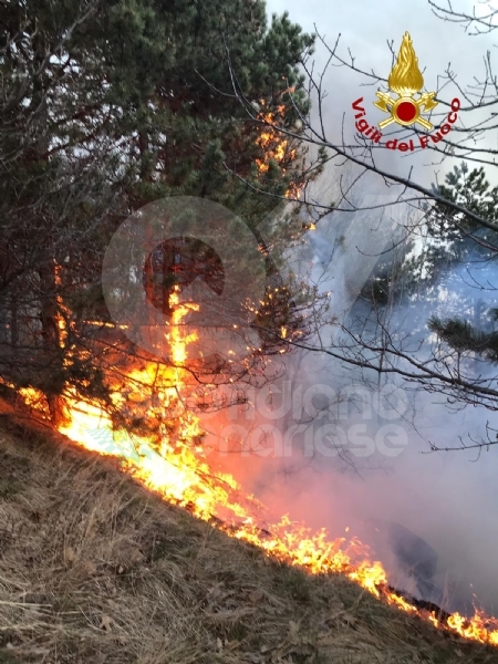 A FUOCO IL MUSINE' - Pompieri ancora in azione: potrebbe essere un atto doloso - FOTO