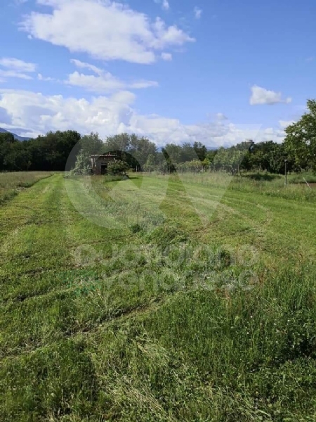 DRUENTO - Il Suv passa sui terreni agricoli di Strada Cortese e Strada Pasturanti, rovinandoli
