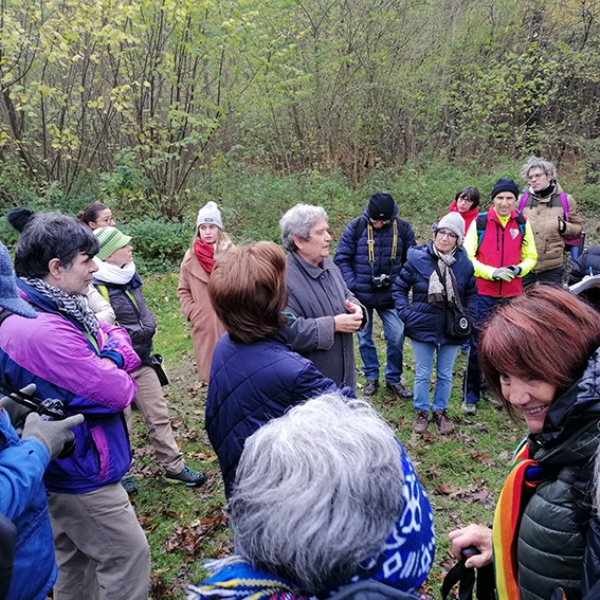 RIVOLI - Oltre 70 persone alla scoperta della collina morenica grazie a «Rivoli Città Attiva»
