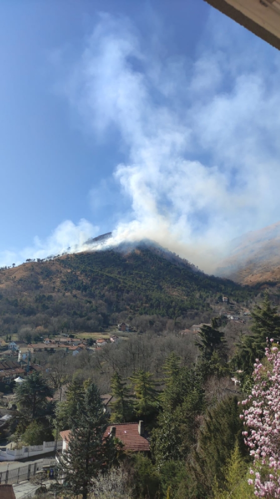 GIVOLETTO-VAL DELLA TORRE - Incendio in fase di spegnimento: ora è caccia ai piromani - FOTO