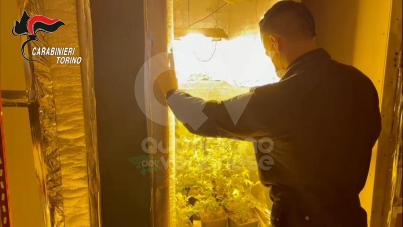 VENARIA - Due donne denunciate per possesso di droga: in manette il loro fornitore